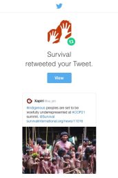 Survival International Retweet - Xapiri